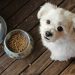 The Basics of Pet Food Diets