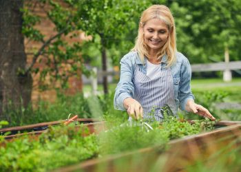 Gardening: Bringing Green Spaces into Our Lives