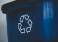 The Economics of Recycling: Benefits and Challenges