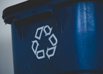 The Economics of Recycling: Benefits and Challenges